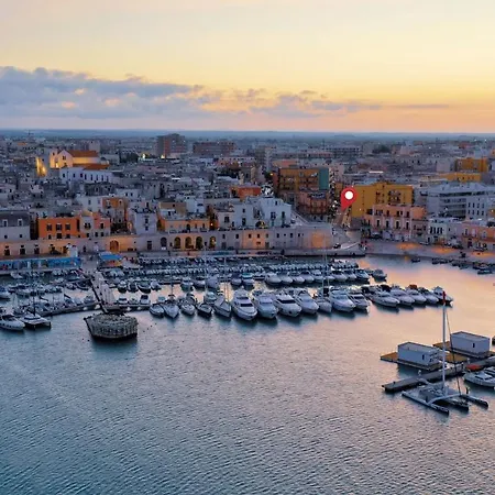 Cavalluccio Marino *