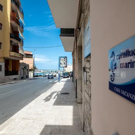 Cavalluccio Marino *